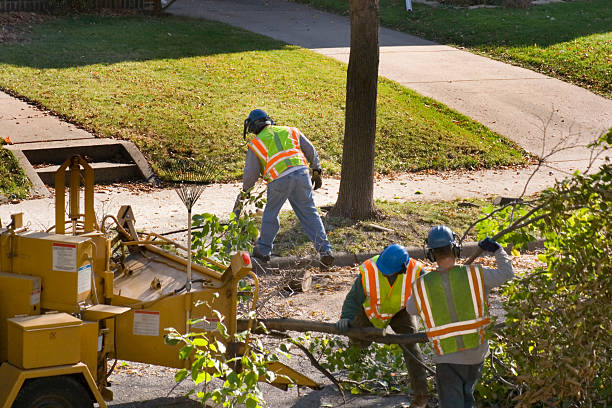 Eagleview, PA Tree Care Services Company